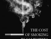Economic impact of smoking report cover